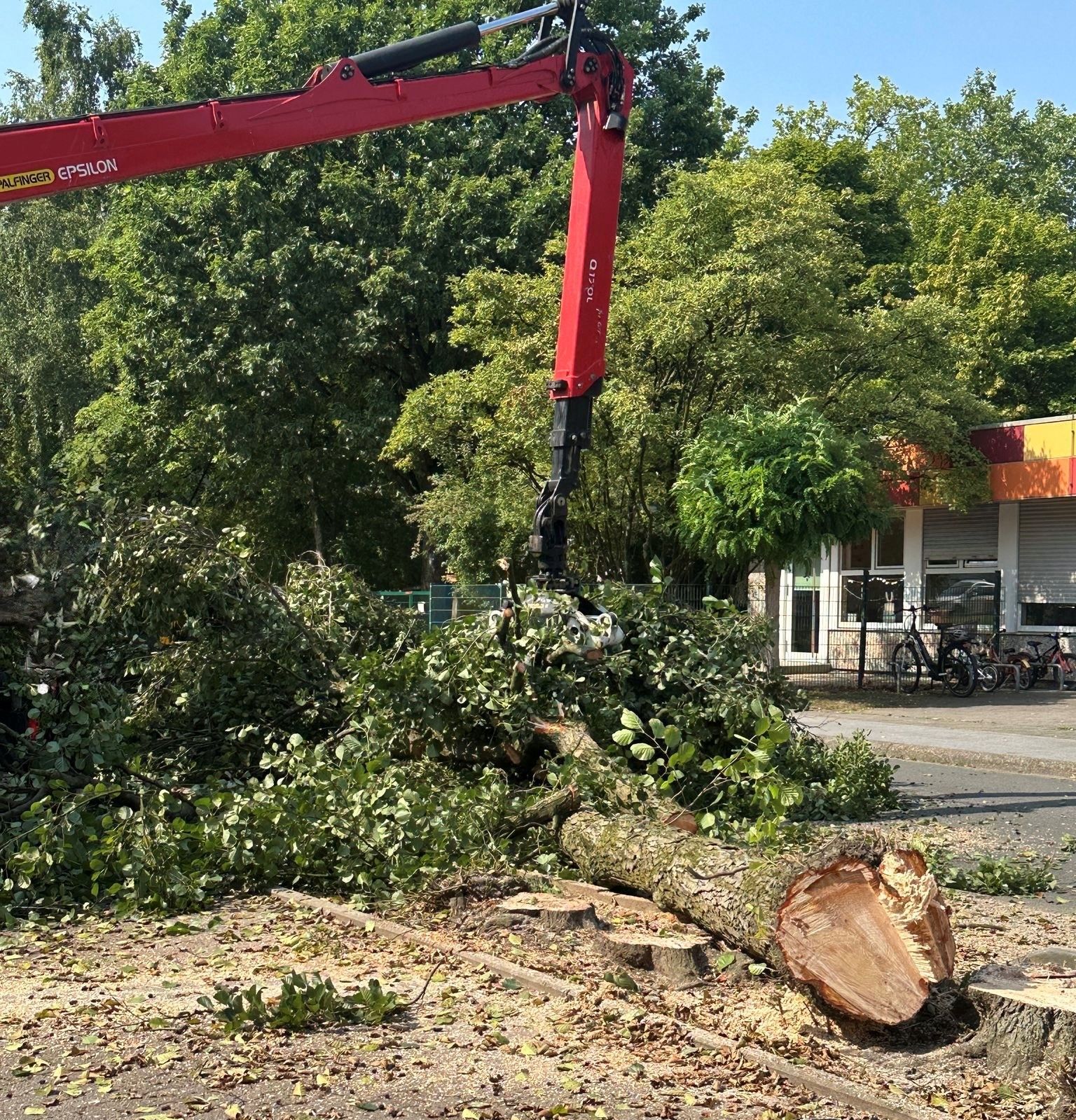 Baum und Strauchnschnitt