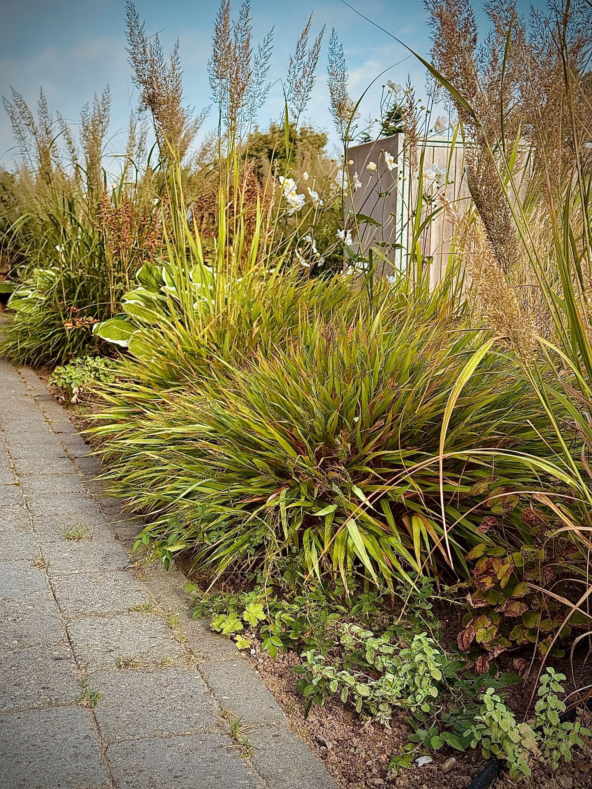 Ein Kiesweg säumt ein gemischtes Beet mit grünen und braunen Pflanzen. Im Hintergrund ist ein Gebäude zu sehen.