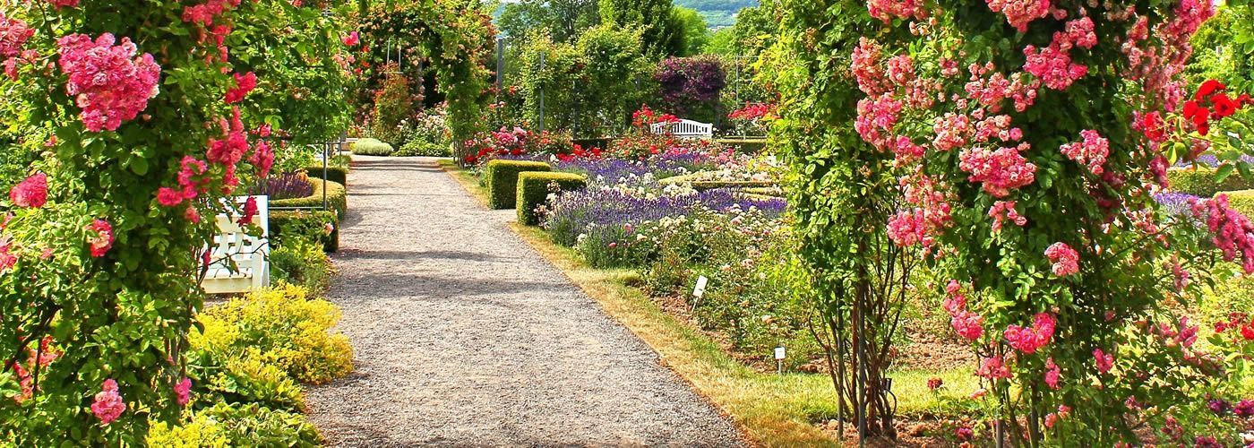 Gartenbereich vom Rosenhotel Scherer