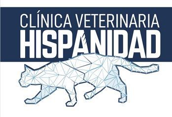 logotipo cabecera