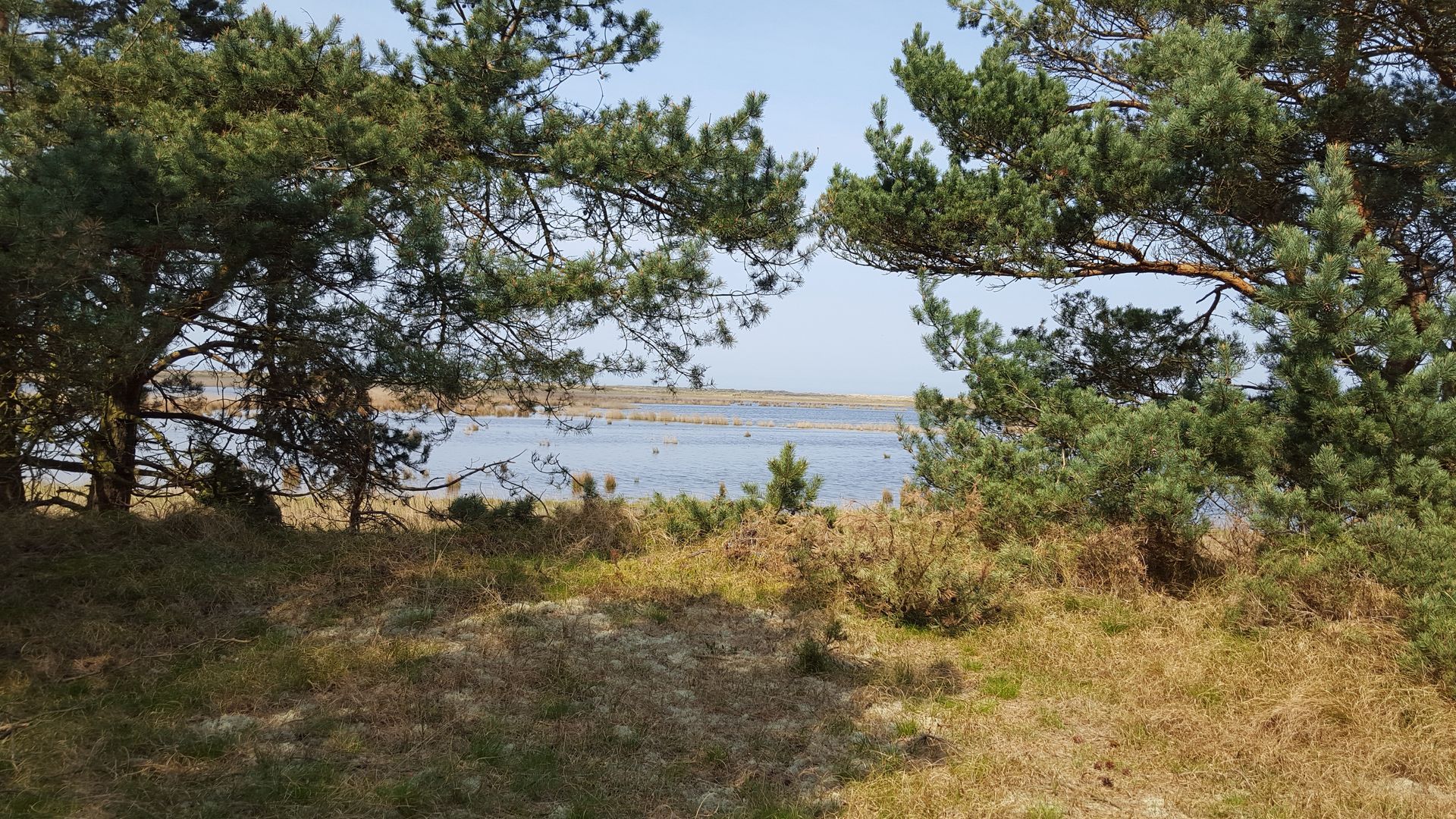 Nationalpark, Aussichtspunkte, Rundwanderweg, Rotwild, Seeadler