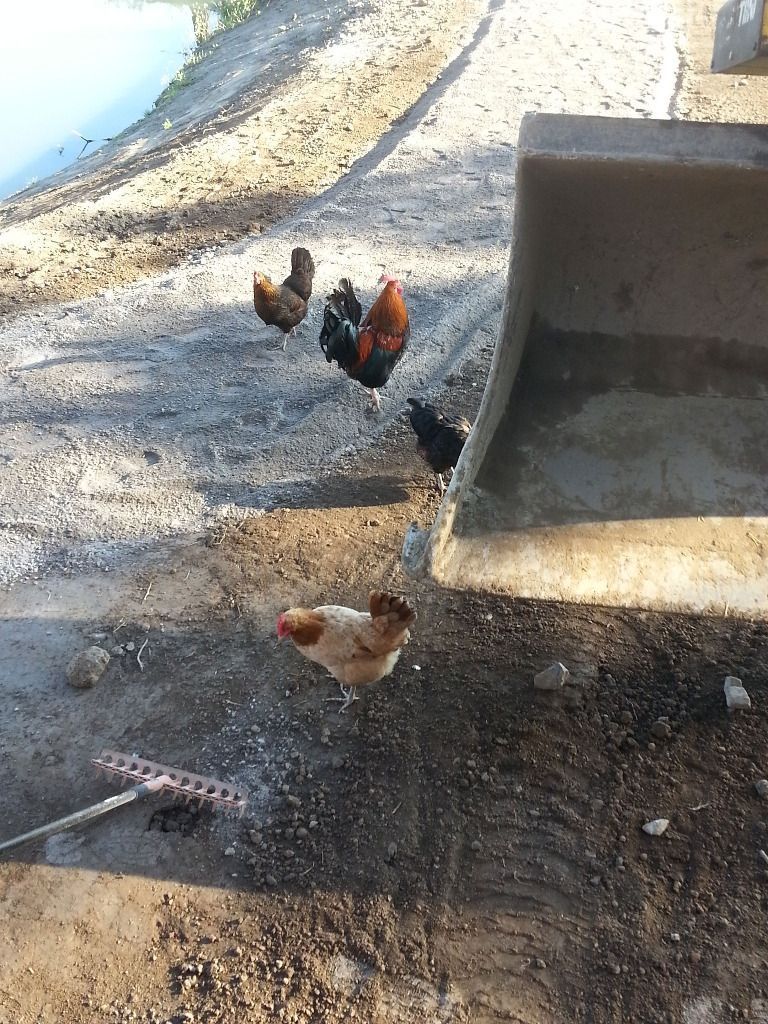 maanrakennusmaunuksela