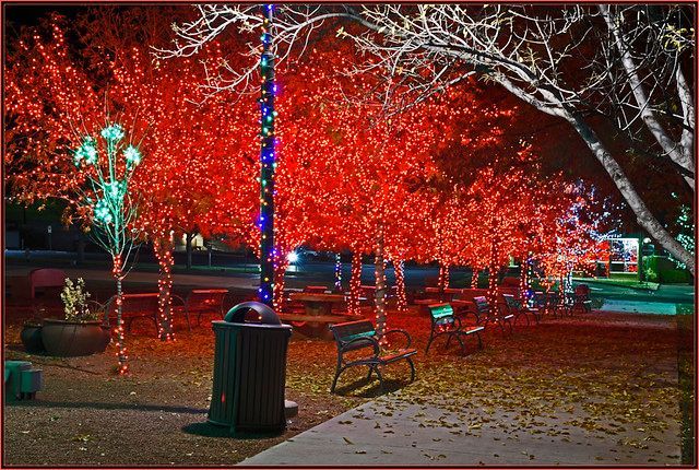 Season's Greetings
