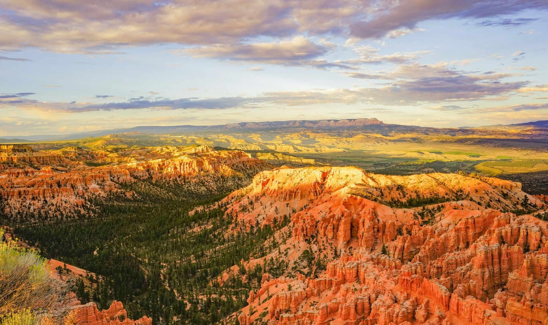 Sunlit orange canyon cliffs and forest under a pastel sky at sunset