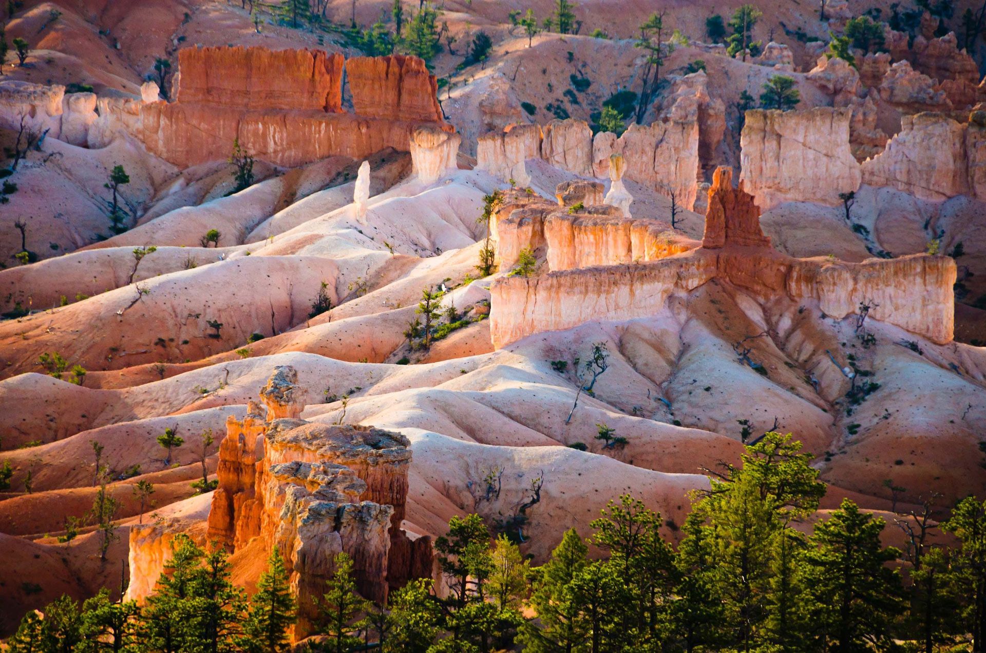 Sunlit orange-and-white hoodoos and canyon cliffs with green trees at the base