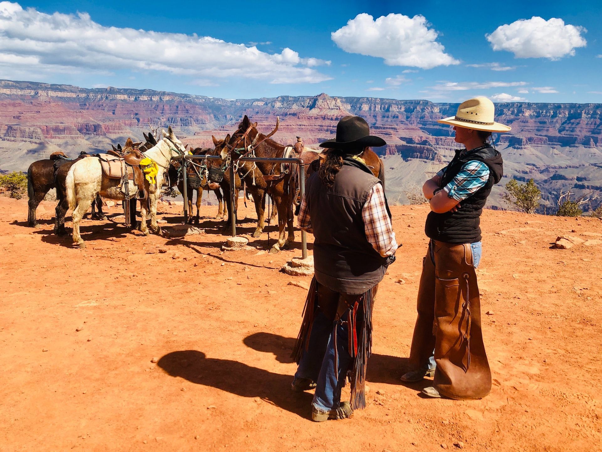 Cowboys and horses gathered on a red desert overlook with canyon cliffs and blue sky in the background