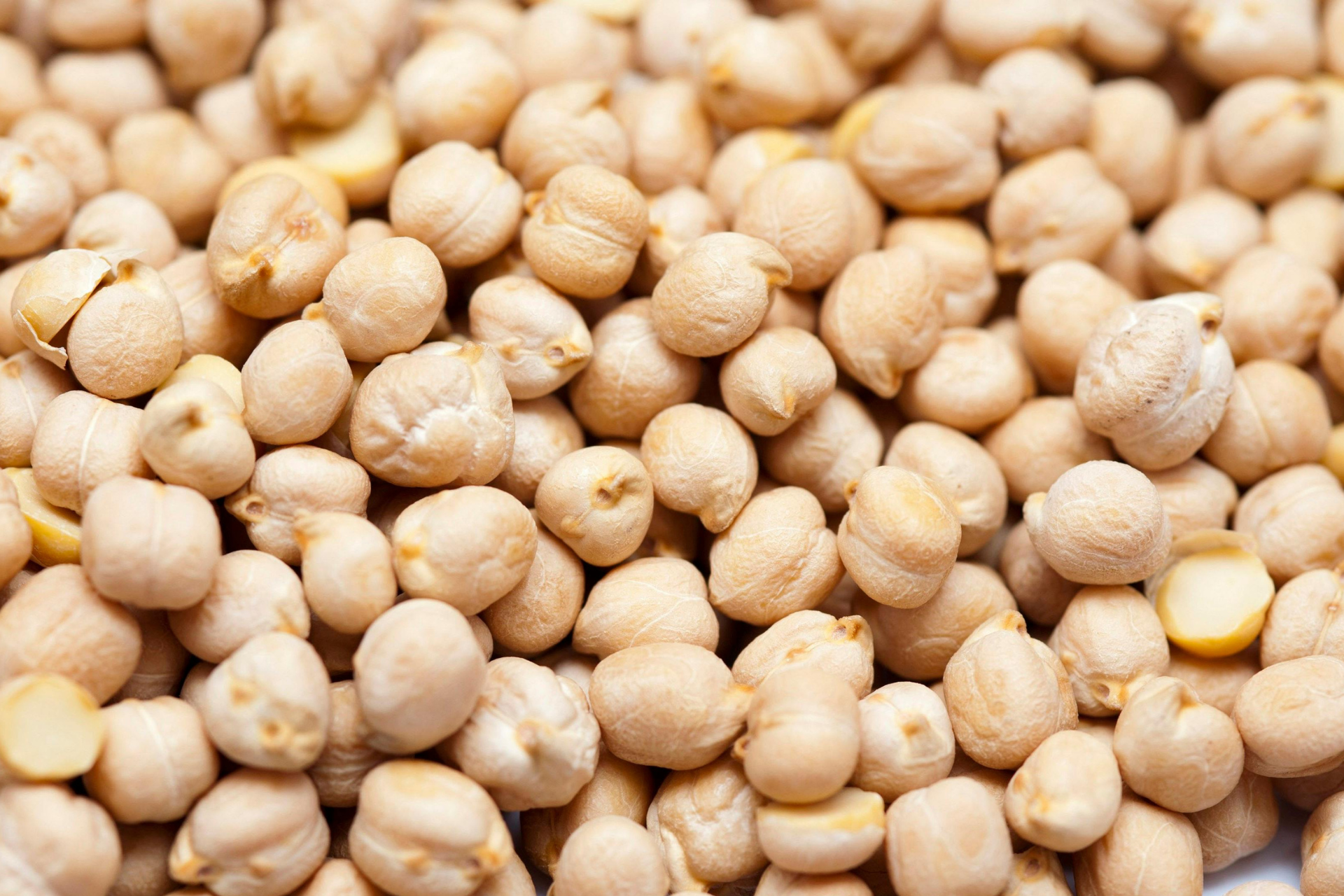 Montón de garbanzos secos, de color beige pálido y forma esférica.