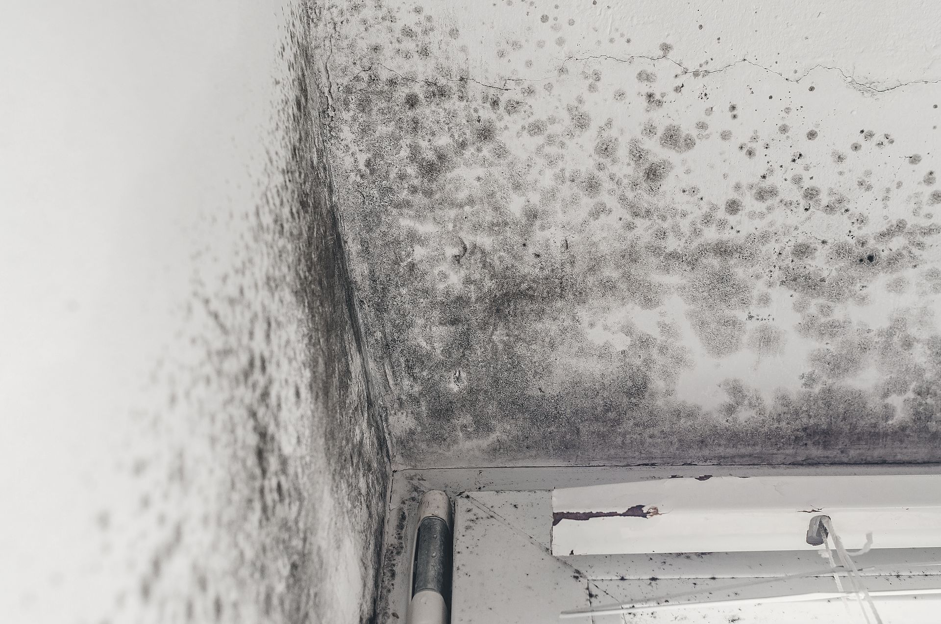 Murs d'un sous-sol avec un dispositif d'assèchement