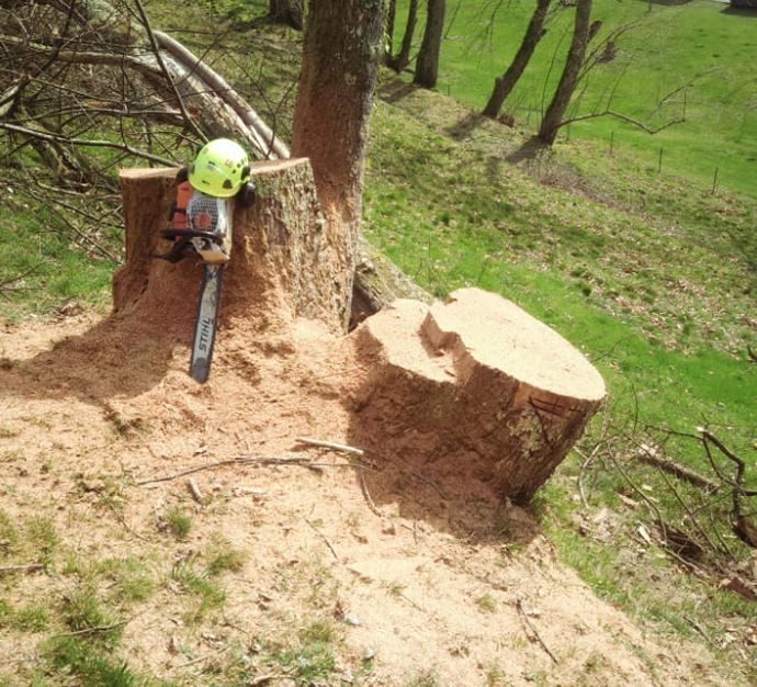 Abattage, broyage par GBP