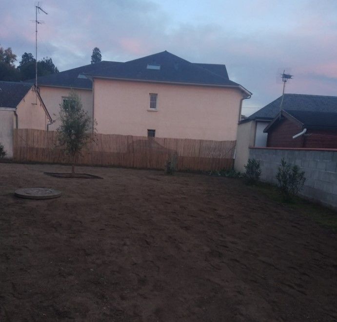 Pelouse, rénovation