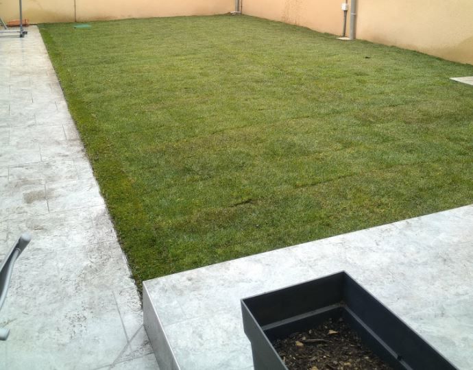 Gazon, engazonnement