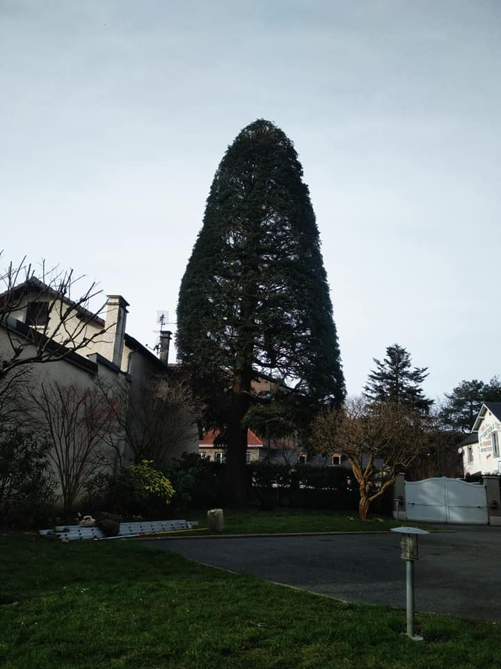 Paysagistes professionnels