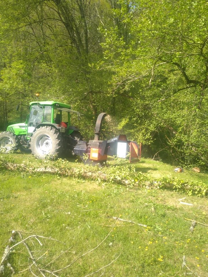 Entretien de parcelles arborées
