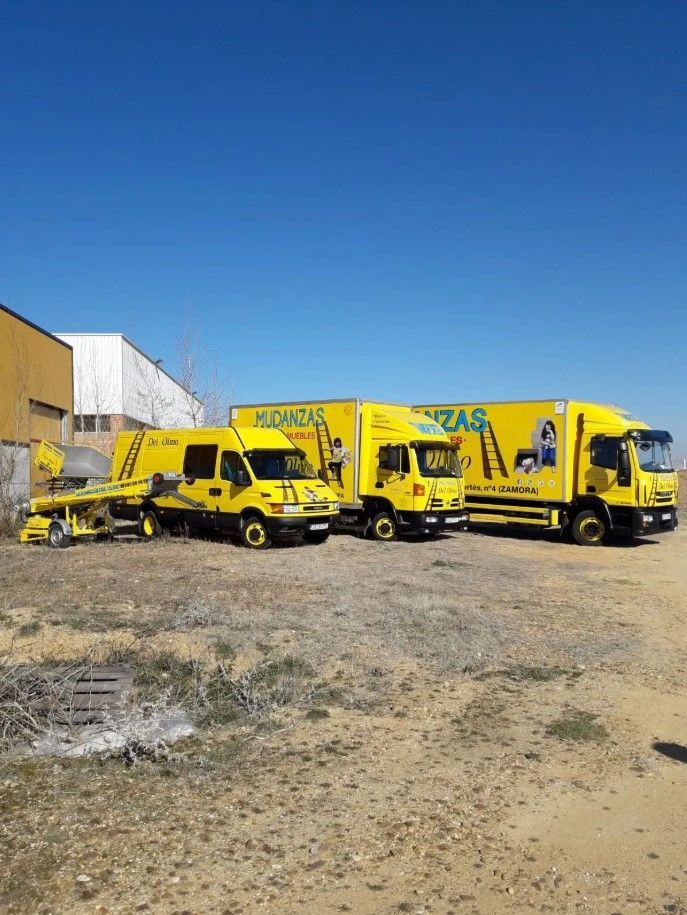 Tres camiones amarillos con la marca de la empresa estacionados en un lote bajo un cielo azul.
