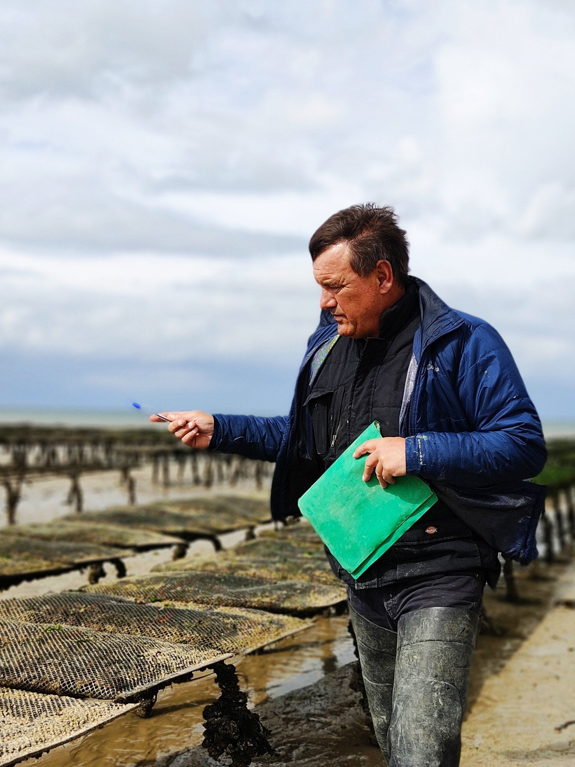 Travaille ostréiculture