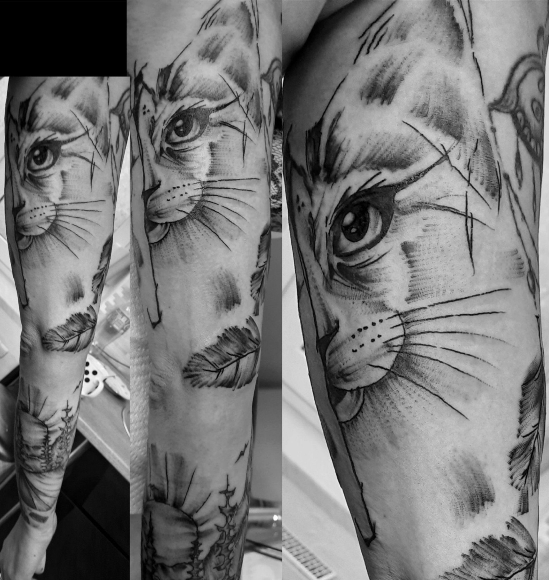 Bildercollage  | Black Widow Tattoo & Körperkult