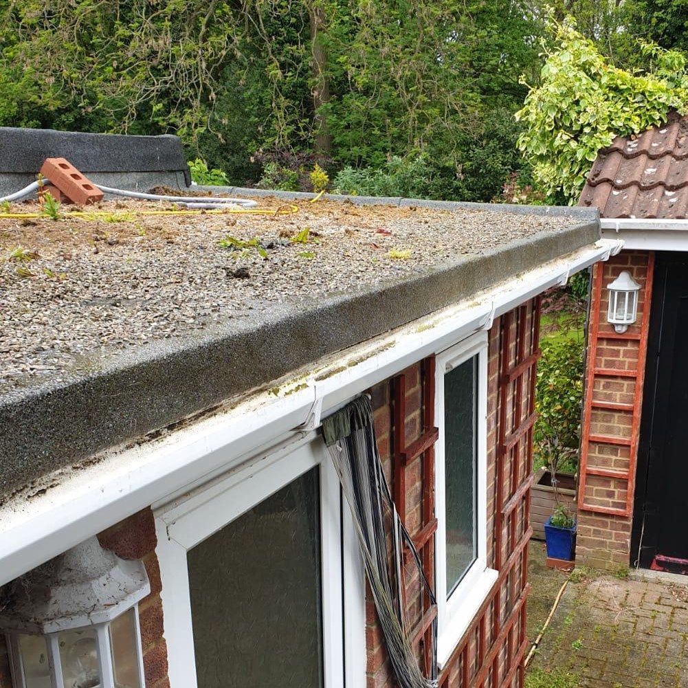 Roof edge with mossy flat roof, white gutter, and red-brick house beside a garden path
