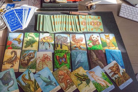 Des cartes illustrées colorées représentant des animaux et la nature sont étalées sur une table, avec un jeu de cartes à dos bleu à proximité.