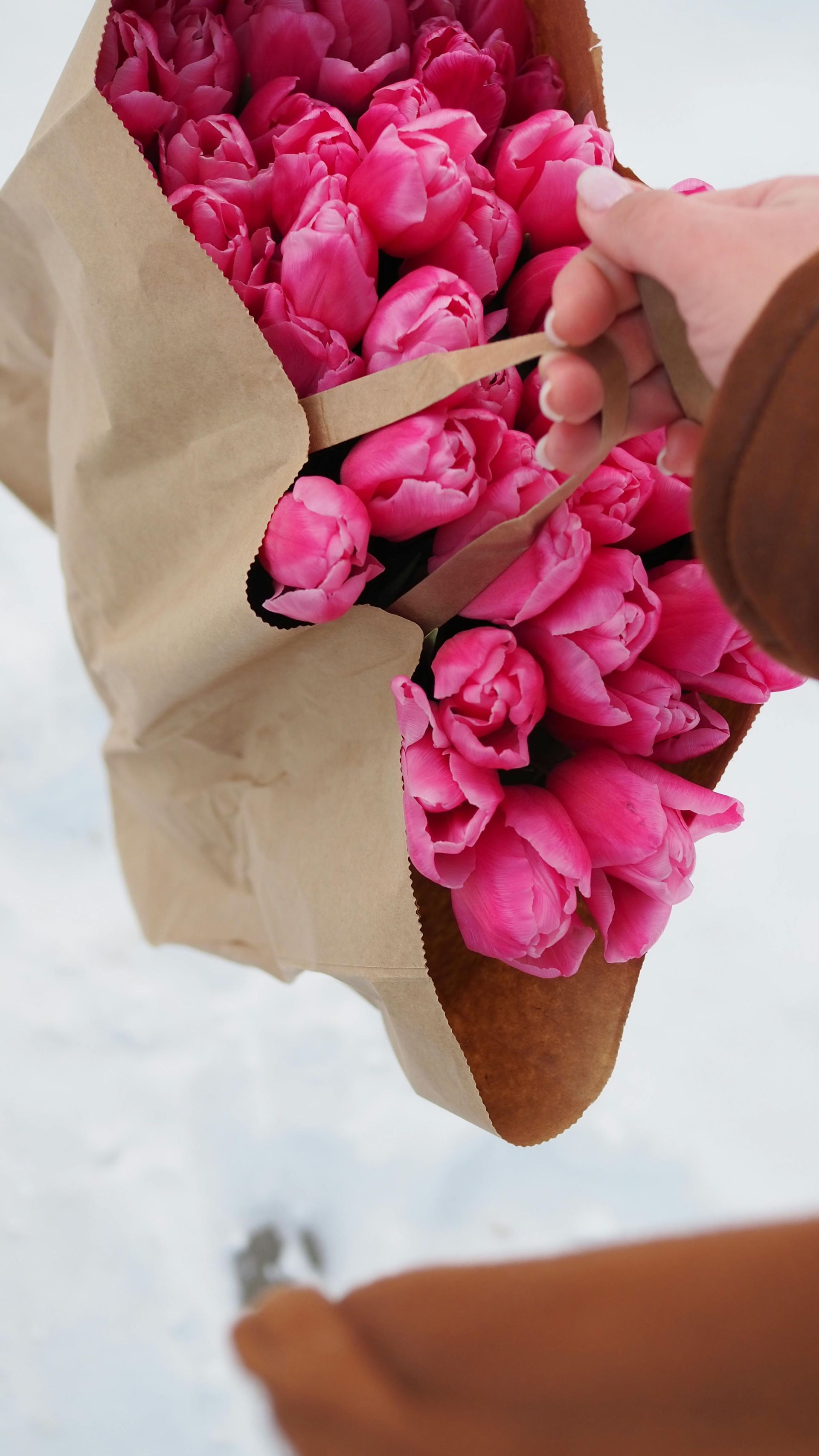 Une main tenant un bouquet de fleurs rose vif enveloppé dans du papier kraft.