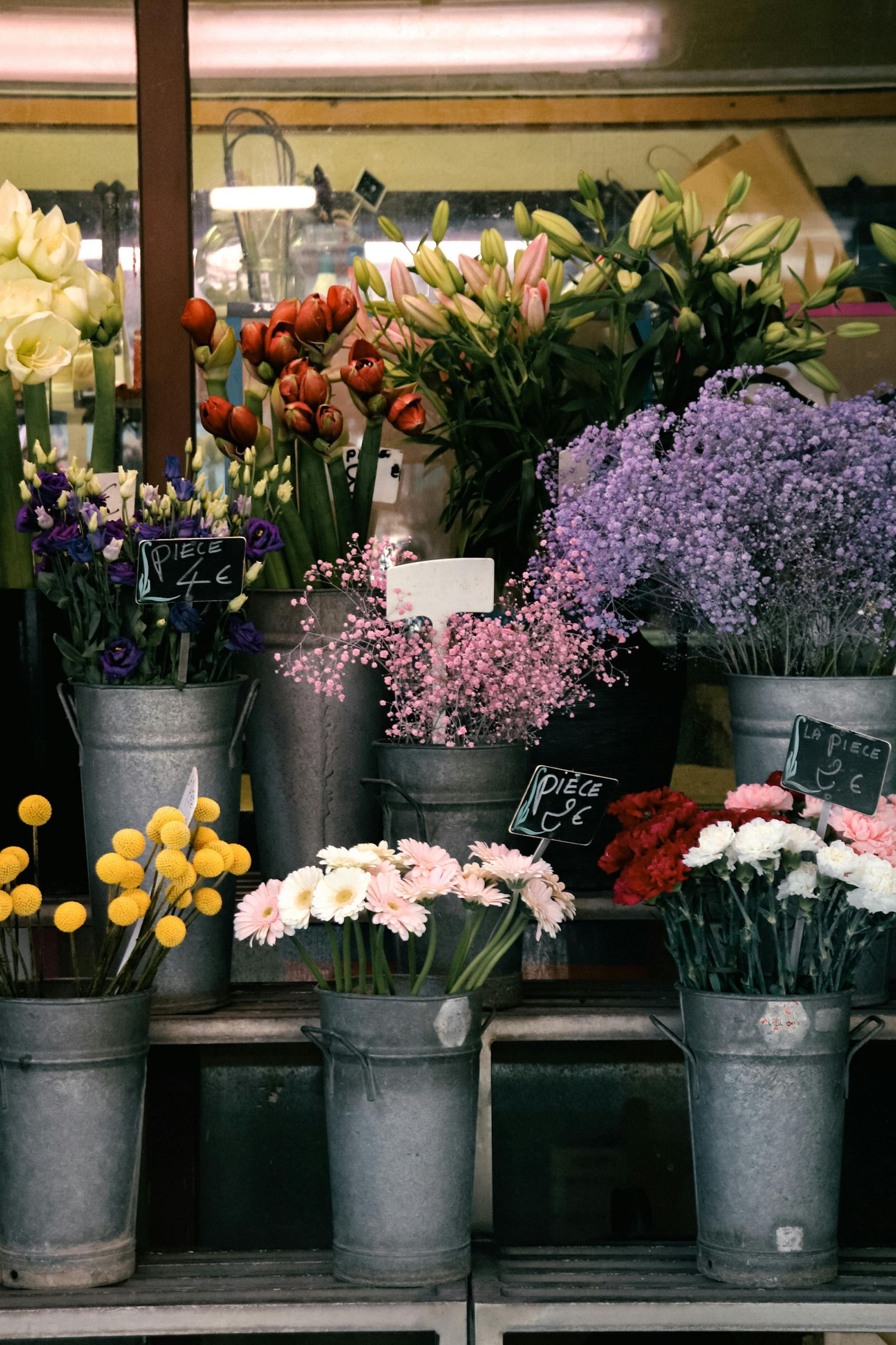 Des seaux de fleurs colorées exposés en vitrine