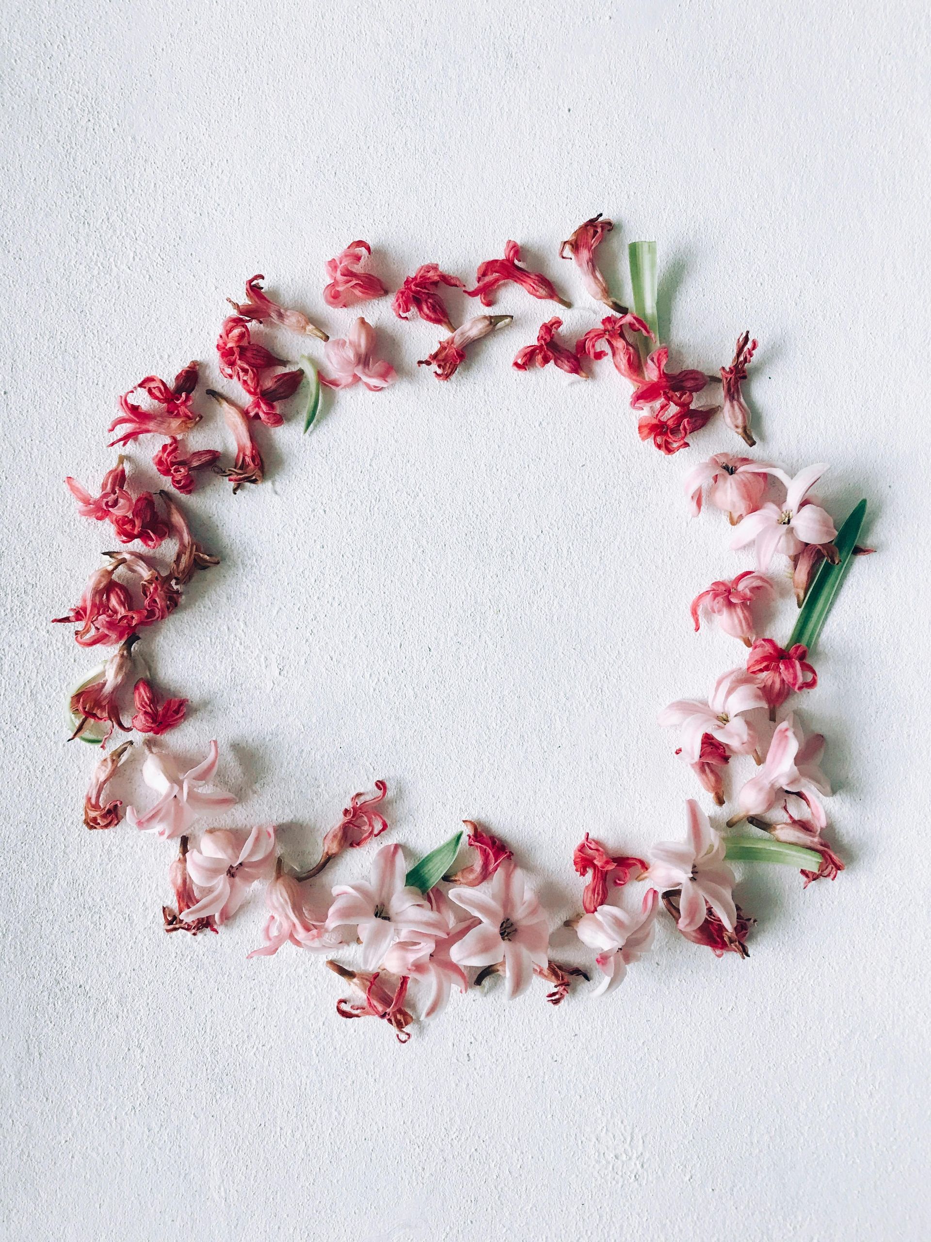 Guirlande de fleurs roses et blanches disposée en cercle sur un fond clair