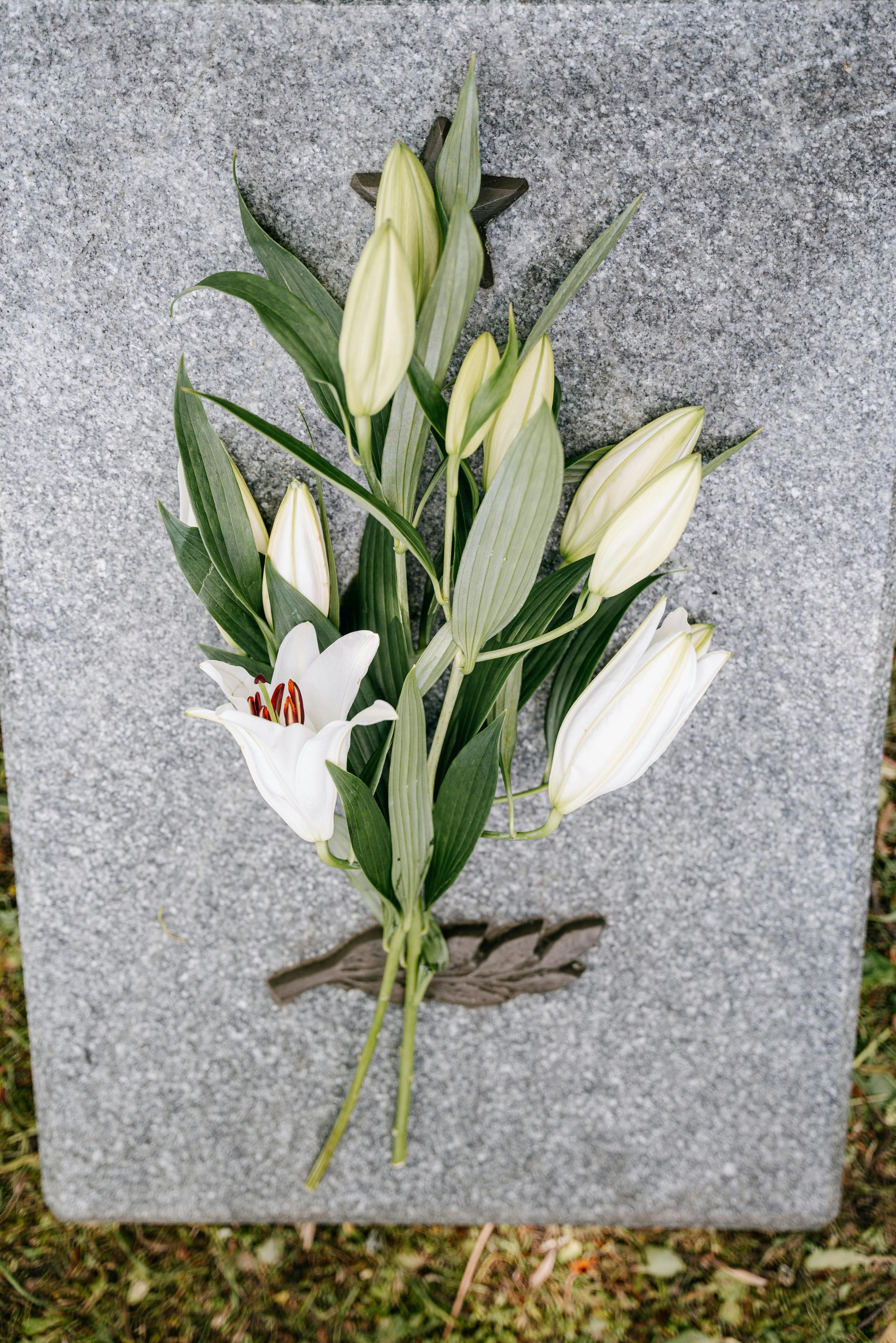Lys blancs et feuilles vertes disposés sur un fond de pierre grise