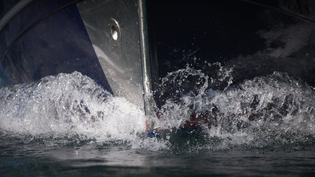 Dettaglio del gozzo Blume