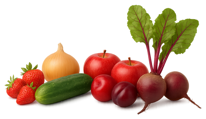 Erdbeeren, Zwiebeln, Gurken, rote Äpfel, Pflaumen und Rüben auf weißem Hintergrund angeordnet.