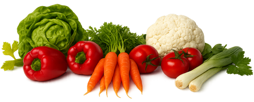 Verschiedene frische Gemüsesorten, darunter Salat, Paprika, Karotten, Tomaten, Blumenkohl und Lauch.