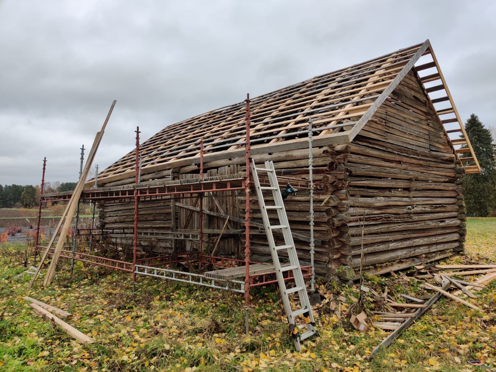 Hirsirakennusten rakentaja