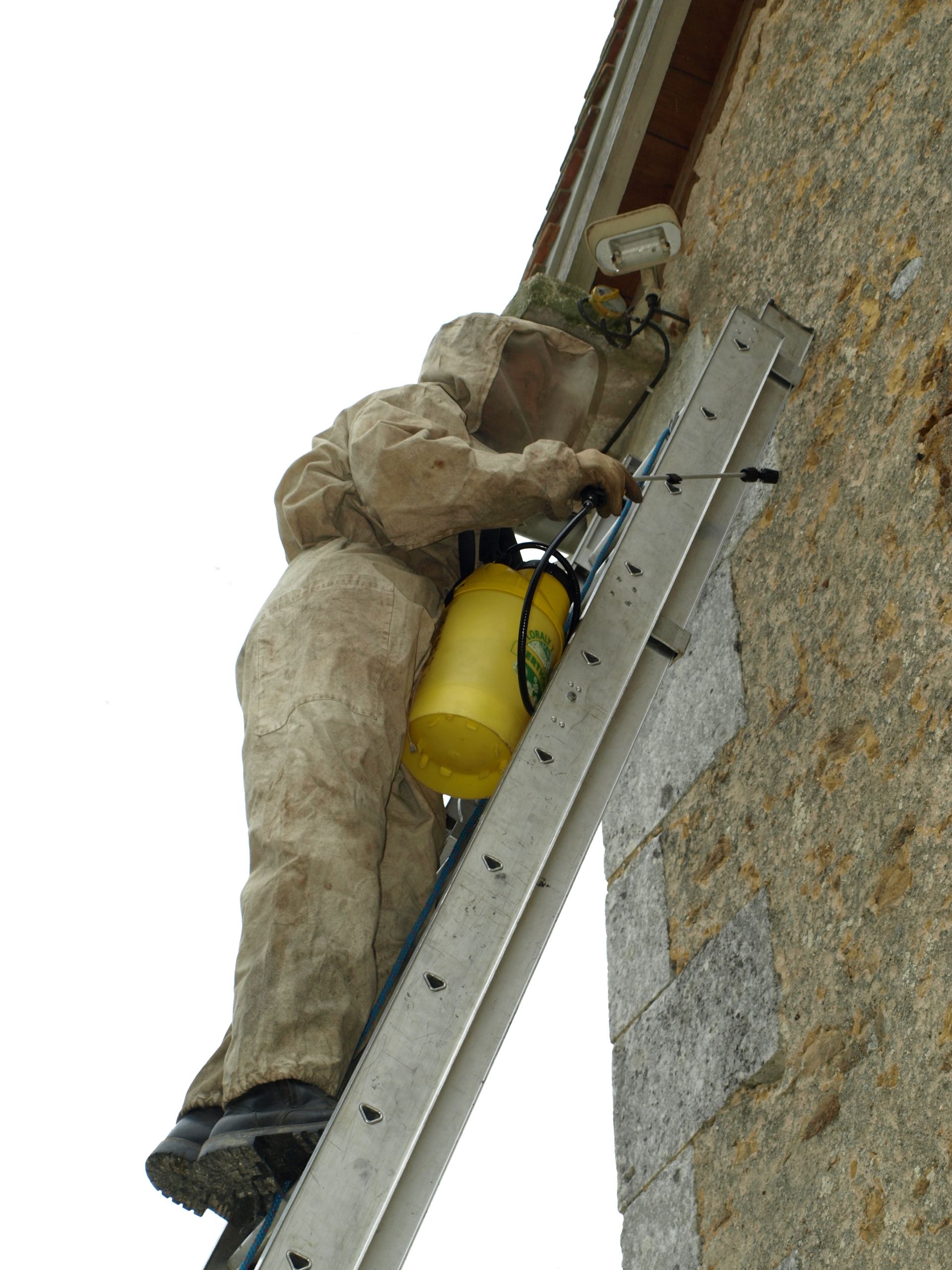 Un ouvrier sur une échelle utilise un réservoir jaune près d’un mur en pierre, sous la ligne de toiture.