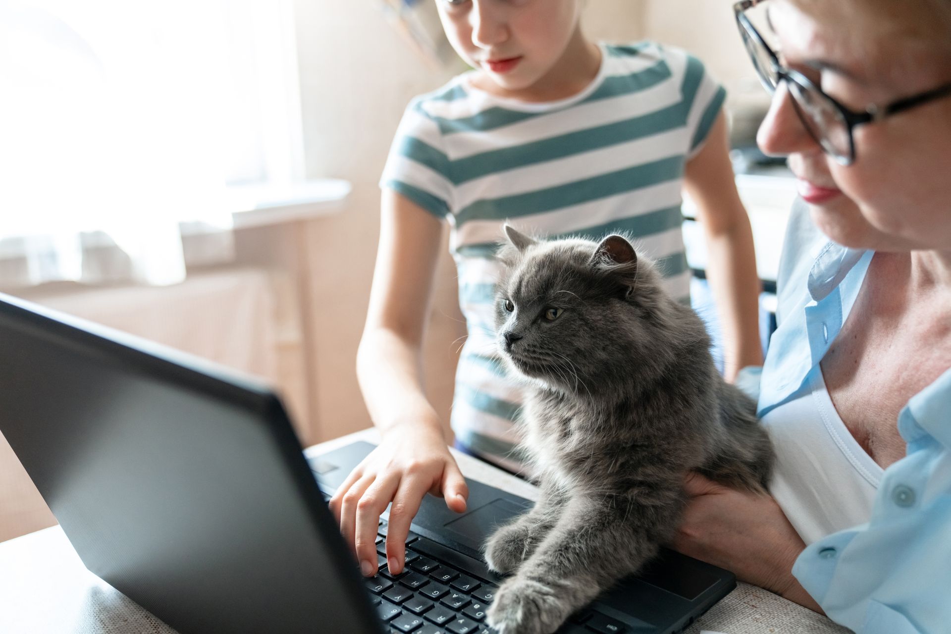 Un chat avec ses maîtres