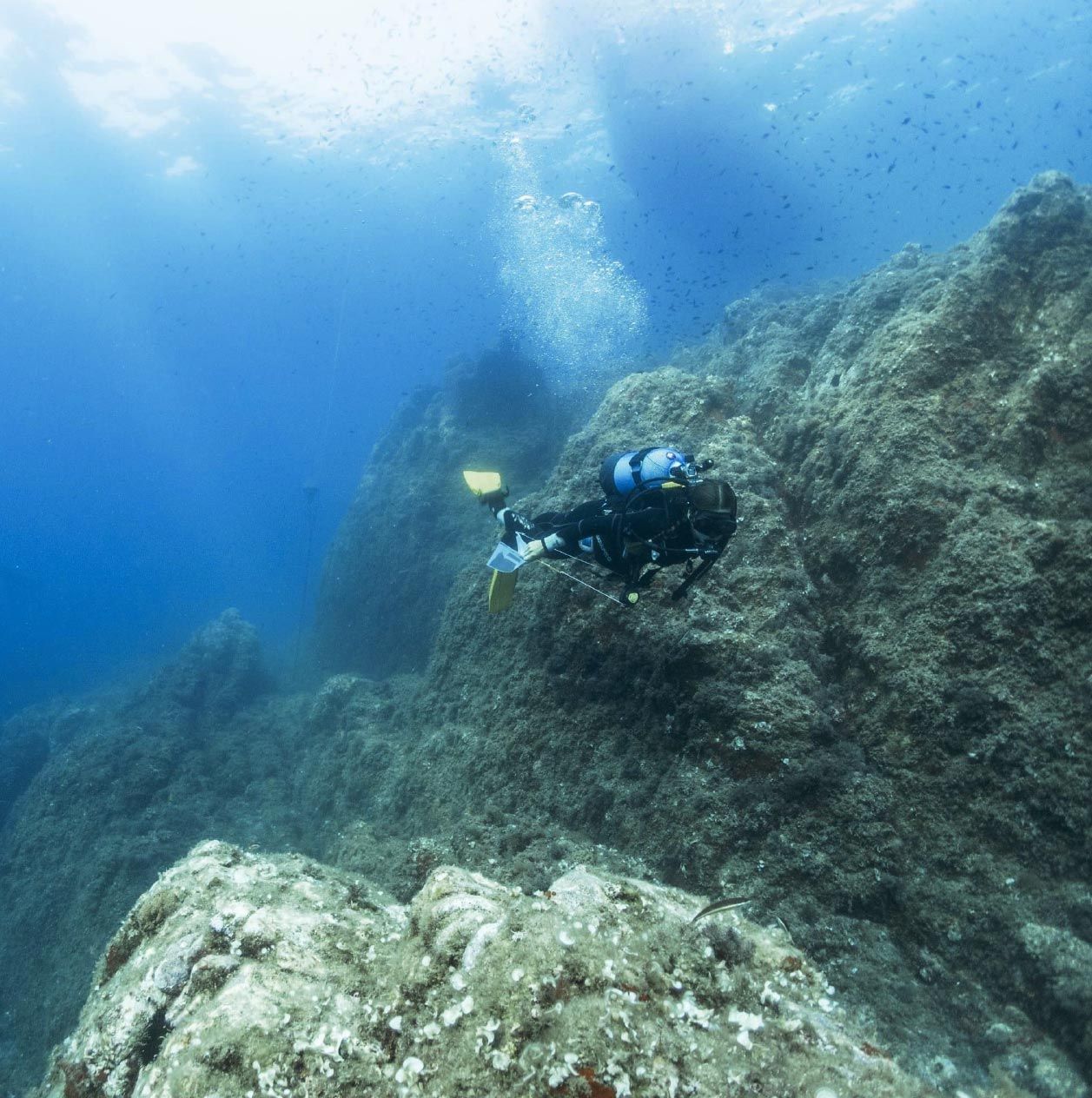 Buzo nadando a lo largo de un acantilado rocoso submarino en aguas azules del océano.