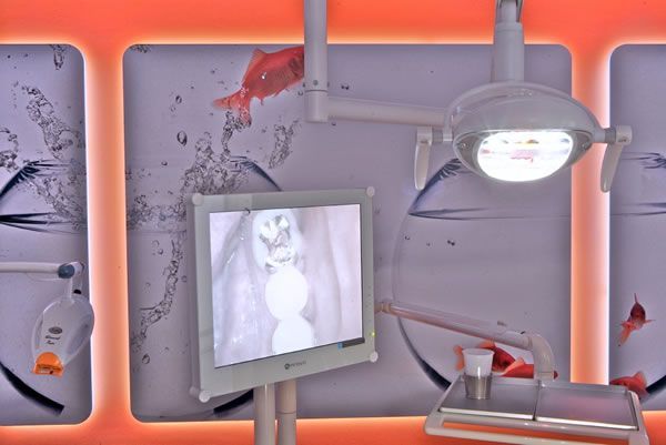 Dr. med. dent. J. Schneider