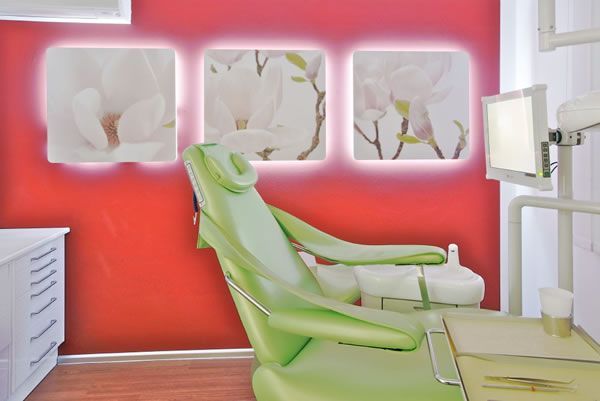 Dr. med. dent. J. Schneider