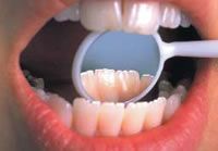 Dr. med. dent. J. Schneider