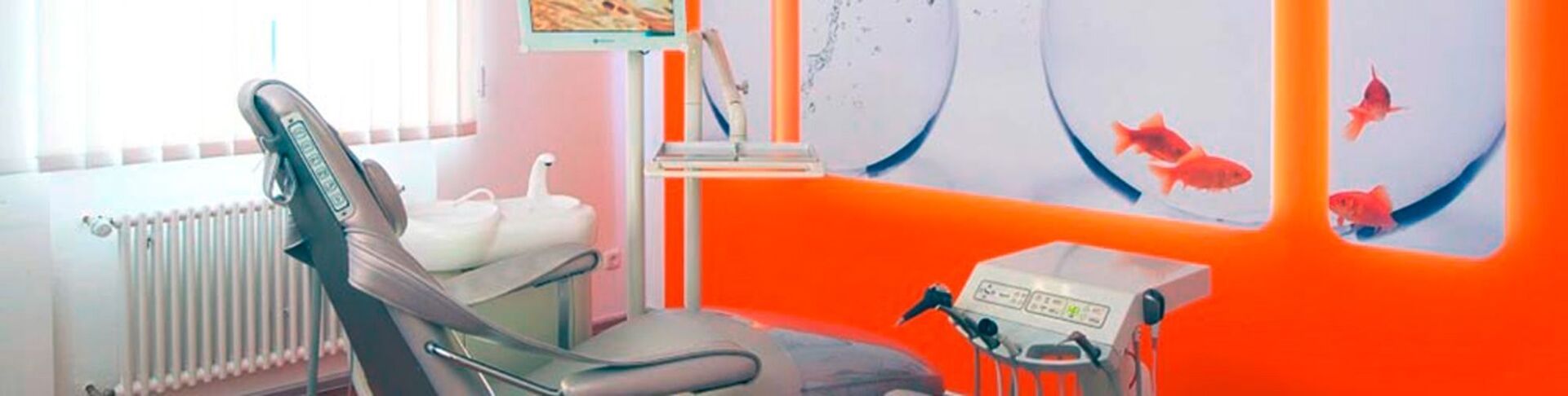 Dr. med. dent. J. Schneider