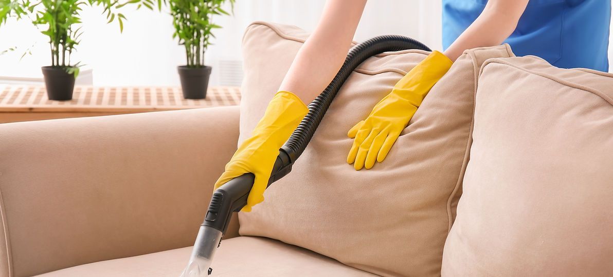 Person saugt Sofa mit Polsterreiniger