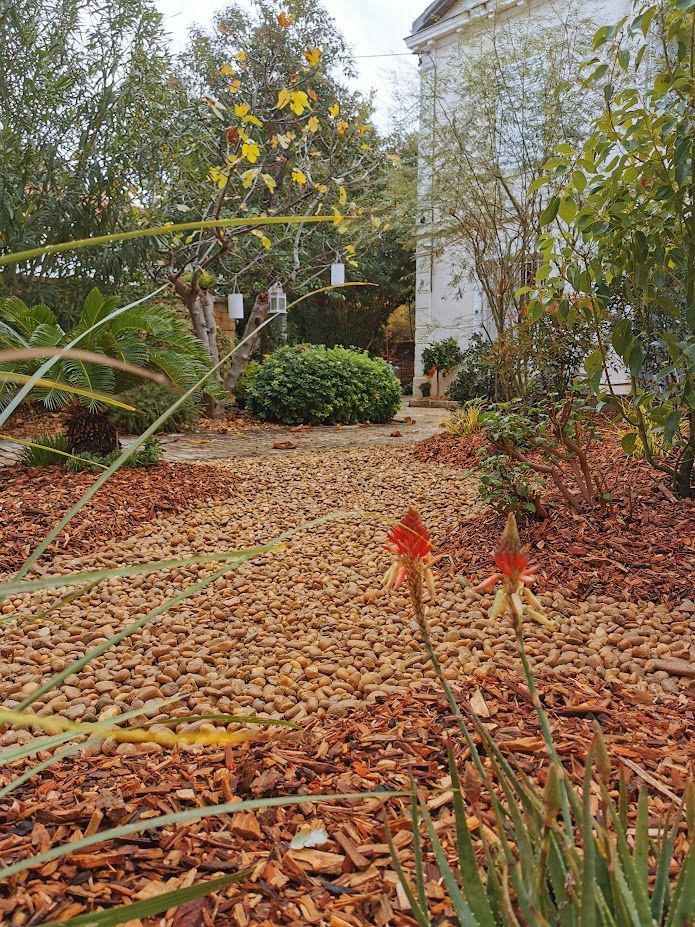 Création d'un espace vert avec des plantes