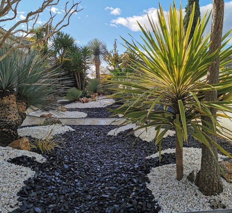 Une allée de jardin avec des plantes