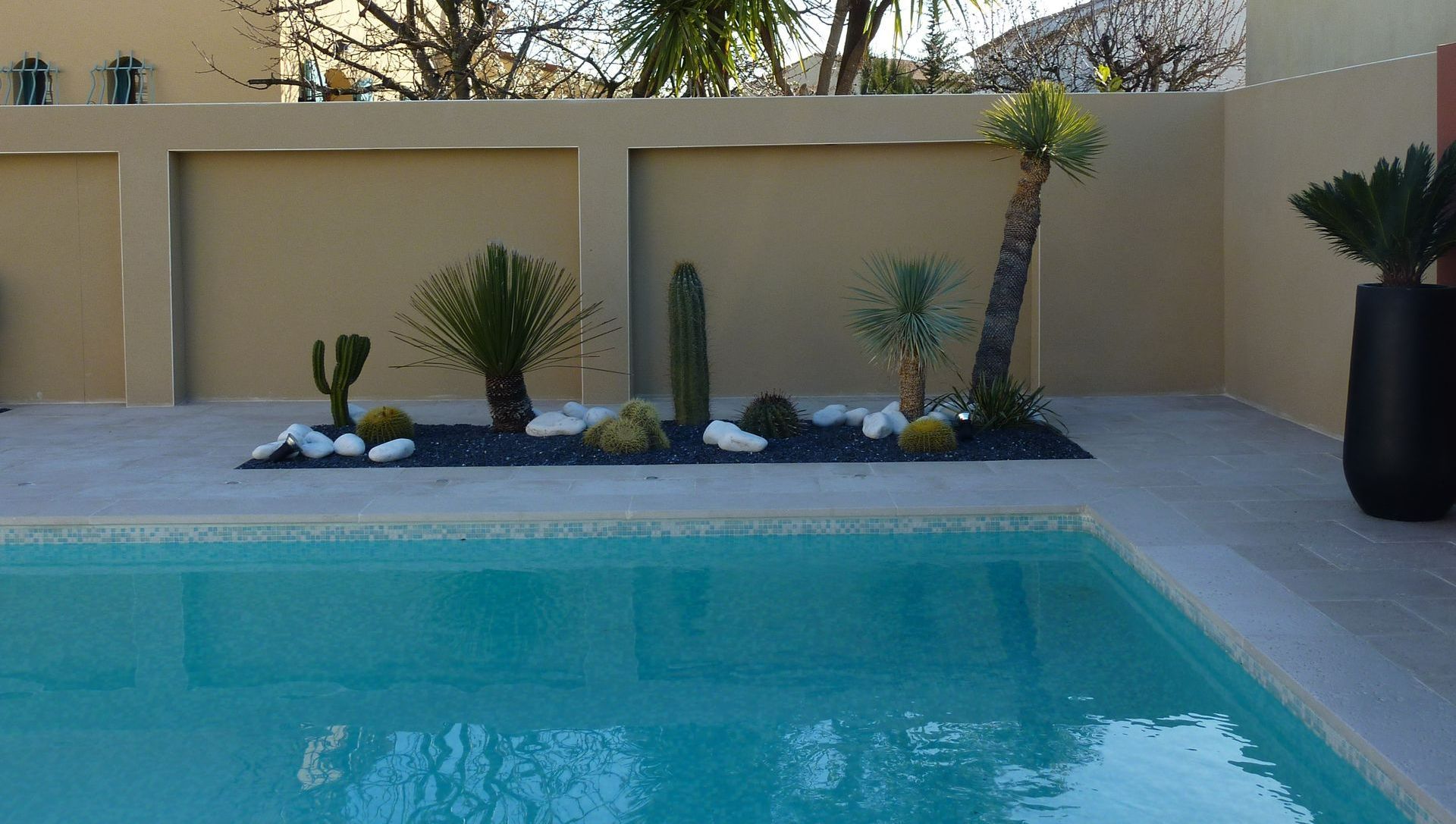 Un espace de plantes près d'un mur