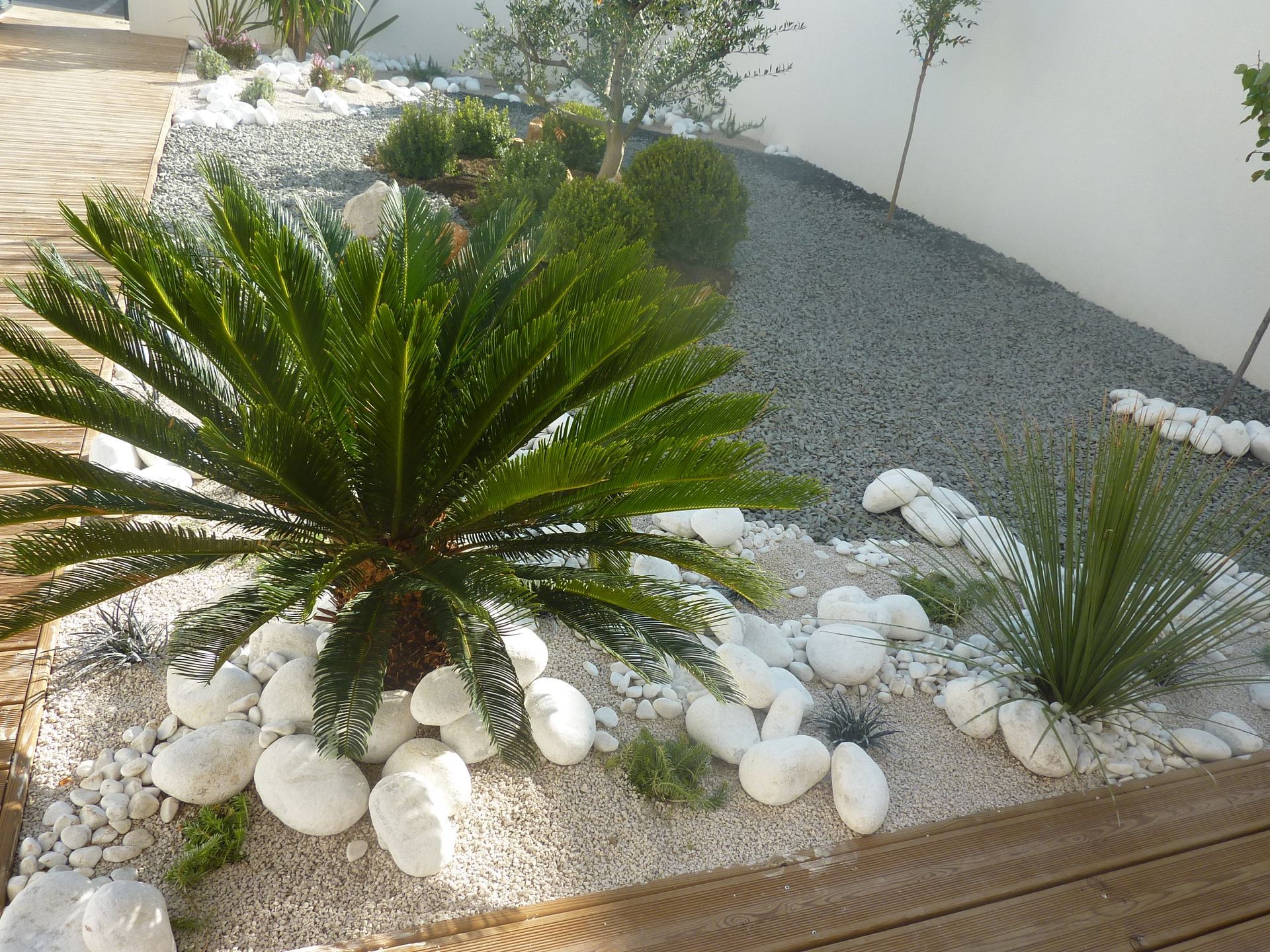 Aménagement extérieur avec une plante et des pierres