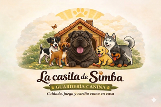 La casita de Simba