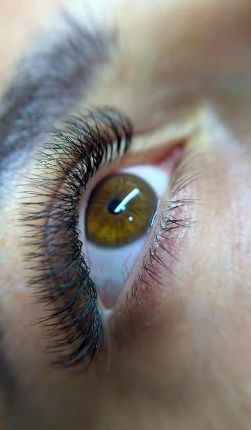 Primer plano de un ojo marrón con pestañas largas y el reflejo de una ceja blanca.