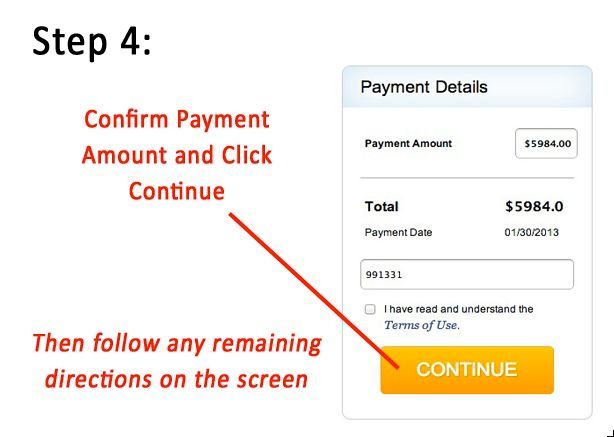 Step 4 instructions: Confirm the payment amount, check the terms of use box, and click the orange 