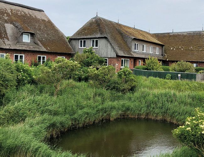 Mitten auf einem Feld vor einem Haus befindet sich ein Teich.