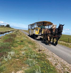 Eine Pferdekutsche fährt eine Landstraße entlang.