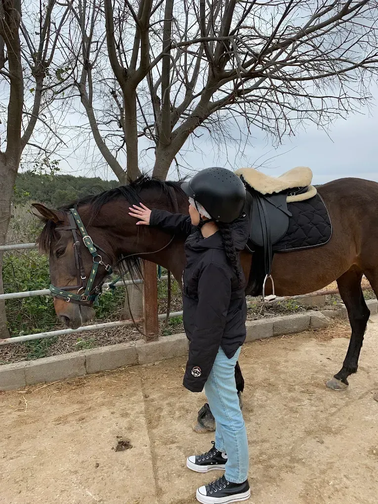 Una niña está acariciando a un caballo marrón en un área cercada.