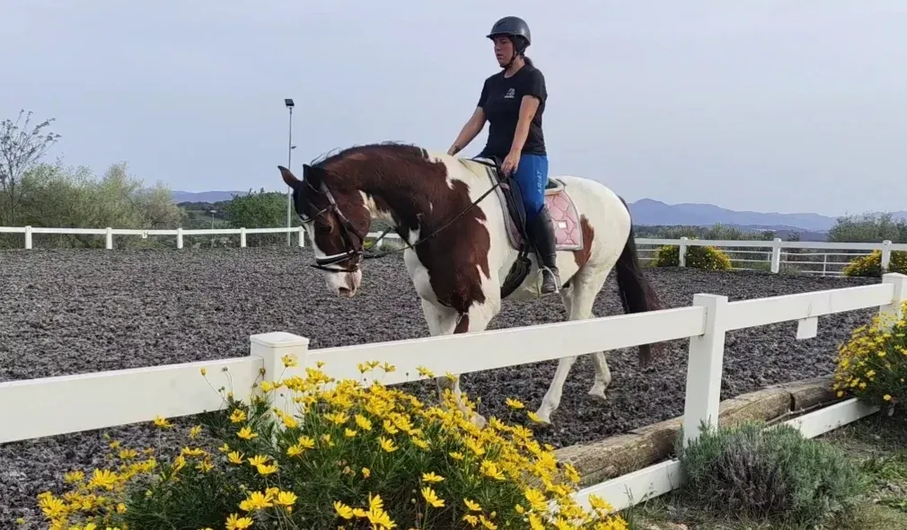 Una mujer monta un caballo marrón y blanco sobre una valla blanca.