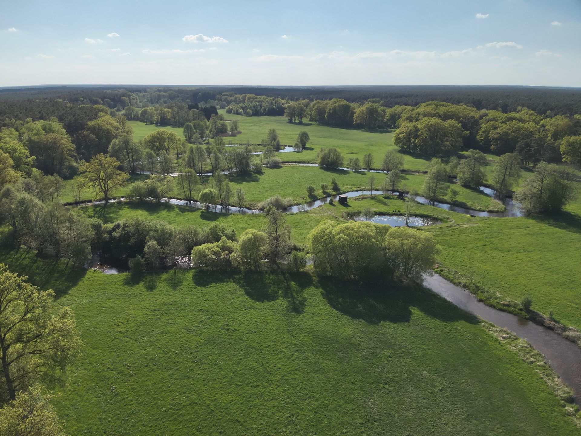 Grüne Wiese mit einem gewundenen Fluss, Bäumen und blauem Himmel.